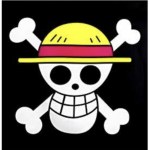•¥•Straw Hats•¥•