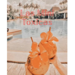 Las Mini Toxicas
