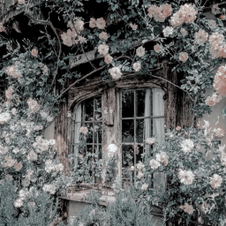 ❀