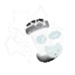 Lantern Spave