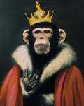 young awesome monkeys