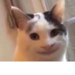 robx123321