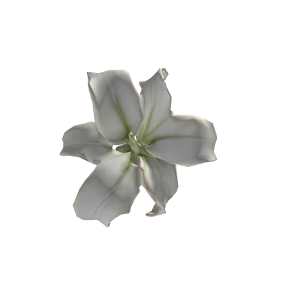 Lily♡　 Pre-order Longfield Gardens Lily Collections, 40-bulbs | Costco