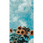 Cool Winter