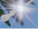 Stray Sunrays