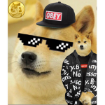 Da Doge Ninjas