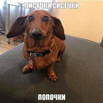 pisechki sisechki popochki