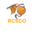 RCSGO: Roblox Counter Strike Team