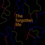 The forgotten life