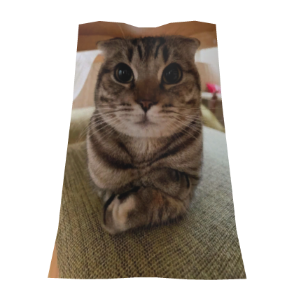Serious Cat Cape Roblox item