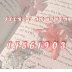s3cret admir3r