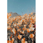 Kaci_Games