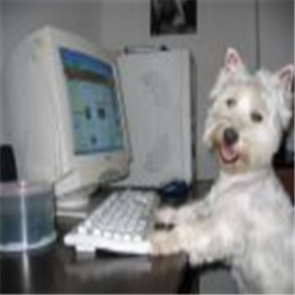 dog Roblox decal