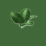 PLANT PLANT PLANT PLANT PLANT GROUP