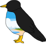 Robin ®