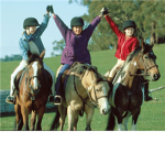 The Saddle Club