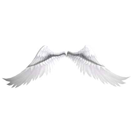 Huge white angel wings(bottom)