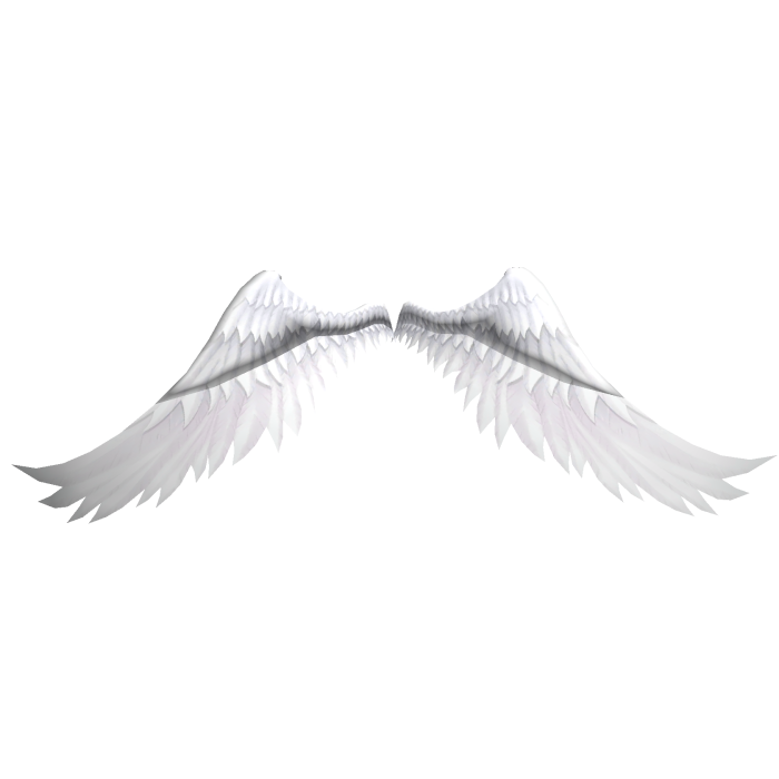 Huge white angel wings(bottom)