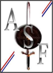 Awesome Sword Fighters (A.S.F)