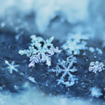 ♥Frozen fans♥