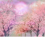 Blossom Store <3