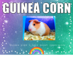 Guinea care