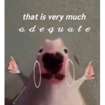BiigBean