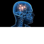Brain Damage