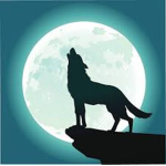Wolf Development Studios