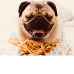 PuggyFries