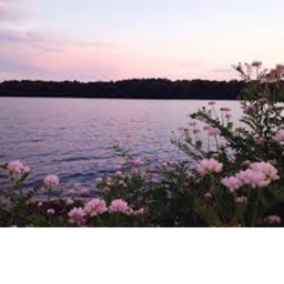 Summer times