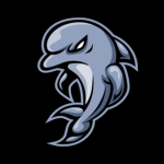 Dolphin Stars