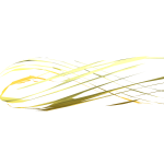 Winners Aura Golden