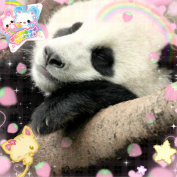 🎀 🔪˚‧꒰ ☆ ꒱ ‧˚
