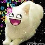 Xuls f4f group Group Thumbnail