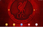 Liverpool fan also dont trip army
