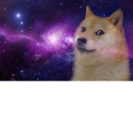 MEME'S AND ###############