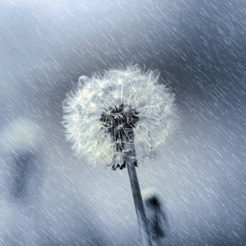 Badge Rain [100+ Free Badges!]