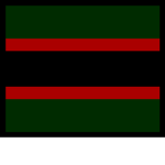 The Rifle Regiment