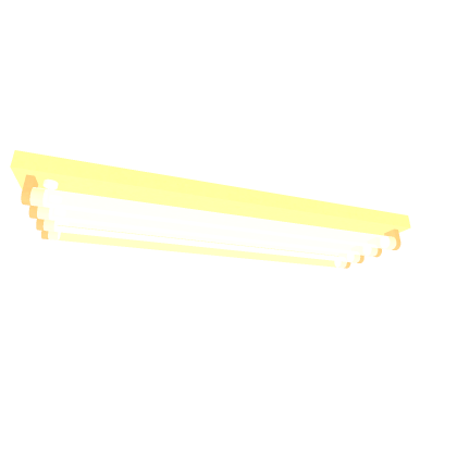 fluorescent Light