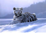 boss_gang_46