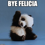 Felicia Rules