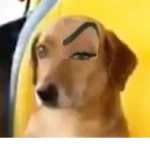 FamLimonsito