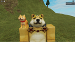 DOGE KingDOm yes