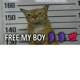 Go to jail and free joey tycoon😎