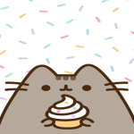 Katten78's group