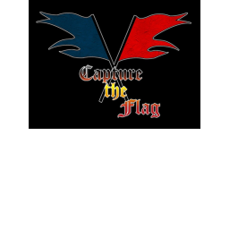 Bloods capture the flag
