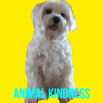 Animal kindness