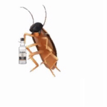 Soviet Roach INC