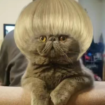 Weird ppl group